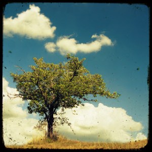 1378211213_8f5b7900cd