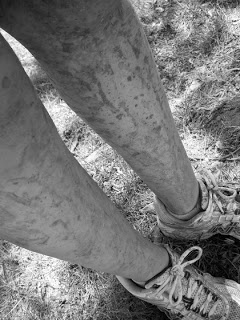 35639_408573992319_767887319_4304386_5973034_n